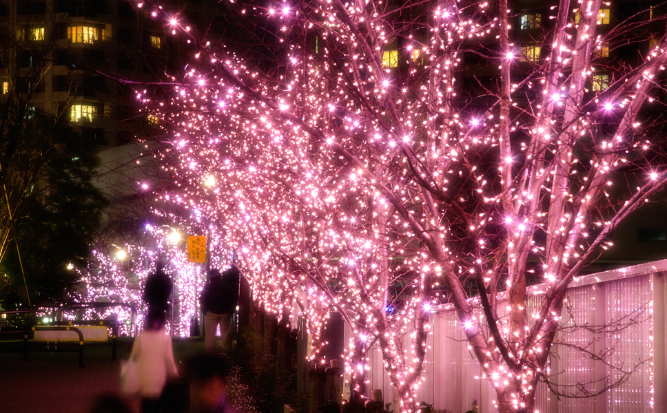 目黒川イルミネーションの2015年の予定は?クリスマスデートは?イルミネーション近くのおすすめレストランは?